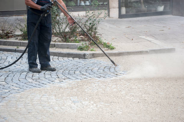 Best Driveway Pressure Washing  in Blaine, WA